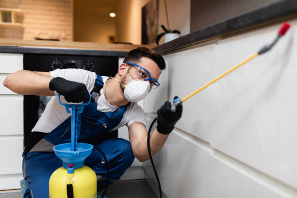 Best Flea Control Services  in North Chicago, IL