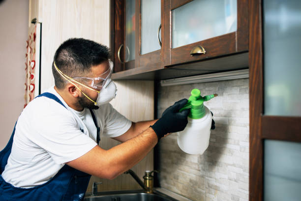 North Chicago, IL Pest Control Company