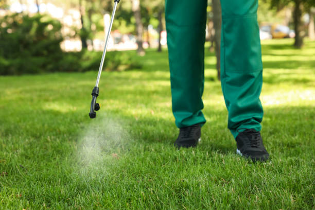 Best Best Pest Control Companies  in North Chicago, IL