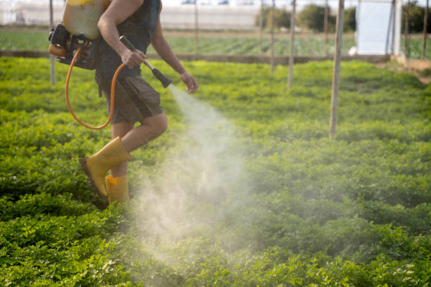 Best Best Pest Control Companies  in North Chicago, IL