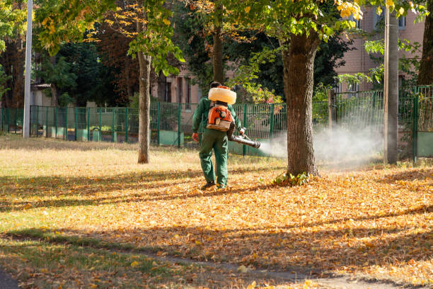 Pest Prevention Services in North Chicago, IL