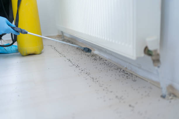 Best Bed Bug Extermination  in North Chicago, IL