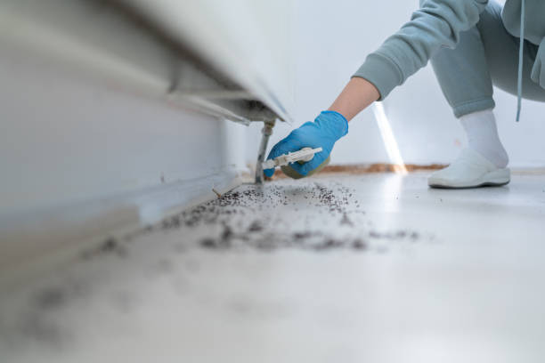 Best Best Pest Control Companies  in North Chicago, IL
